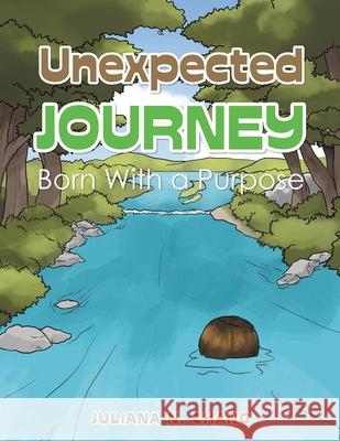 Unexpected Journey: Born with a Purpose Juliana N. Chang 9781543763041 Partridge Publishing Singapore