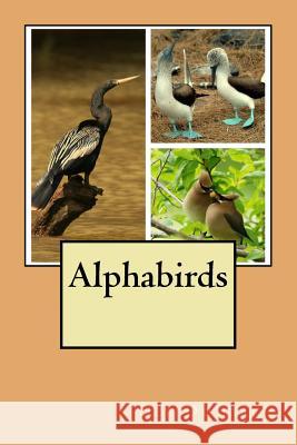 Alphabirds Dee Dombach 9781544014531 Createspace Independent Publishing Platform