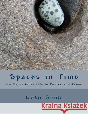 Spaces in Time MR Larkin Stentz 9781544029177