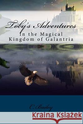 Toby's Adventures: In the Magical Kingdom of Galantria C. Bailey 9781544037868 Createspace Independent Publishing Platform