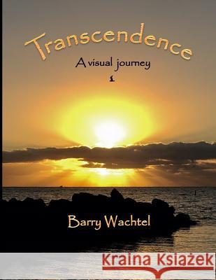 Transcendence: A visual journey Wachtel, Barry 9781544201955