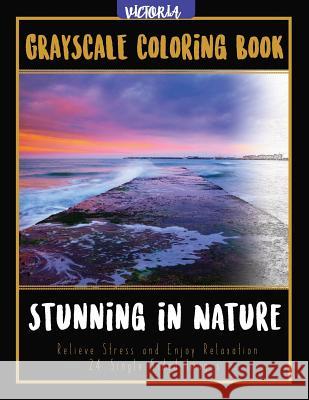 Stunning in Nature: Landscapes Grayscale Coloring Book Relieve Stress and Enjoy Relaxation 24 Single Sided Images Victoria 9781544231525