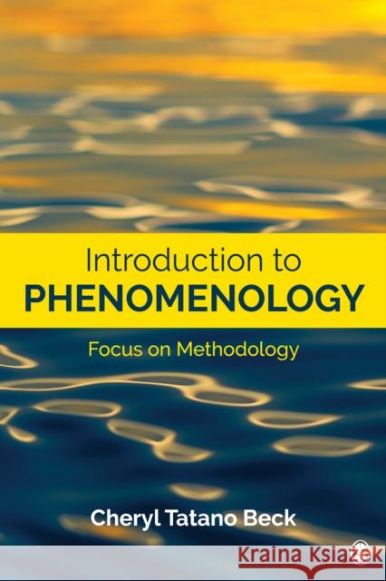 Introduction to Phenomenology: Focus on Methodology Cheryl Lisa Beck 9781544319551 SAGE Publications Inc