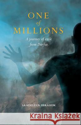 One of Millions: A journey of exile from Darfur Beer, Netta 9781544606033