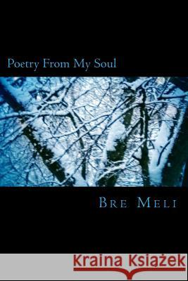 Poetry From My Soul Bre Meli 9781544659954 Createspace Independent Publishing Platform