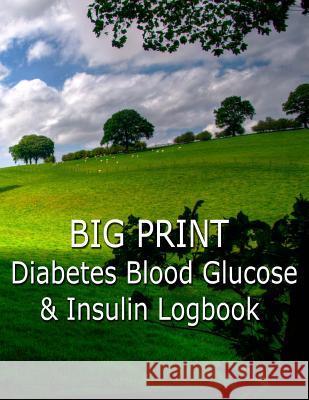 Big Print Diabetes Blood Sugar and Insulin Log Writing Journal 9781544663128 Createspace Independent Publishing Platform