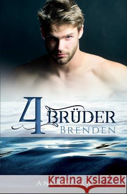 Vier Br Ani Briska 9781544706122 Createspace Independent Publishing Platform