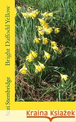 Bright Daffodill Yellow Suzi Stembridge 9781544796734 Createspace Independent Publishing Platform