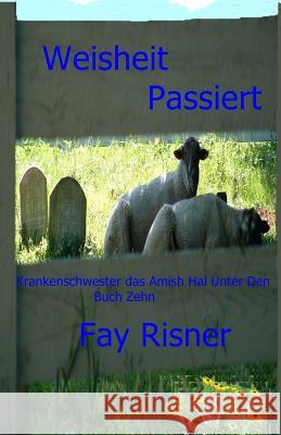 Weisheit Passiert: Krankenschwester Das Amish Unter Den Fay Risner 9781544890937 Createspace Independent Publishing Platform