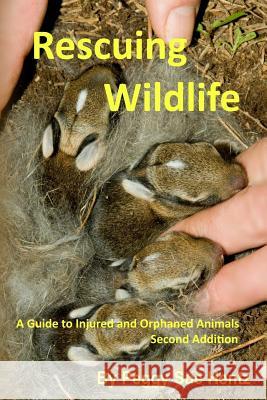 Rescueing Wildlife: A Guide to Helping Injured & Orphaned Animals Peggy Sue Hentz 9781545036631 Createspace Independent Publishing Platform