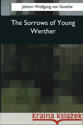 The Sorrows of Young Werther Johann Wolfgang Vo R. Dillon Boylan 9781545069769