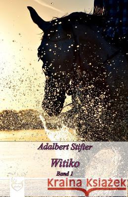 Witiko: Band 1 Adalbert Stifter 9781545133675 Createspace Independent Publishing Platform