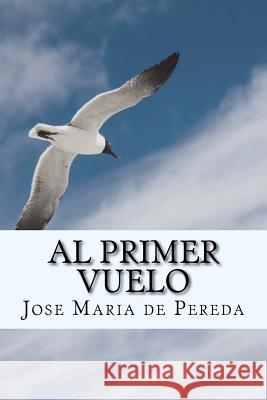 Al Primer Vuelo (Spanish) Edition Jose Maria D 9781545168974 Createspace Independent Publishing Platform
