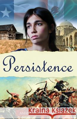 Persistence Amanda Grace Hage 9781545173541