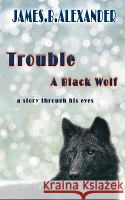 Trouble a Black Wolf: The Story through his eyes Alexander, James B. 9781545201848 Createspace Independent Publishing Platform