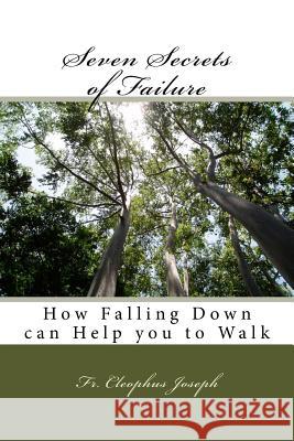 Seven Secrets of Failure: How Falling Down can Help you to Walk St Omer, Trona 9781545229316 Createspace Independent Publishing Platform