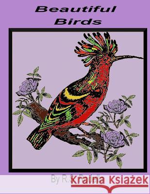 Beautiful Birds R. S. Rodella 9781545388051 Createspace Independent Publishing Platform