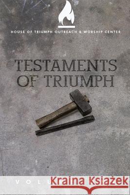 Testaments of Triumph: Volume One Stephen Thompson 9781545508060