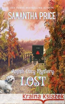 Lost: Amish Mystery Samantha Price 9781545533581 Createspace Independent Publishing Platform