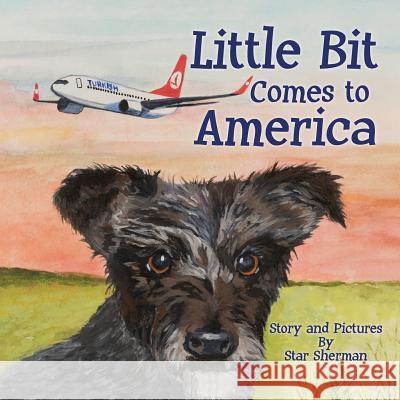 Little Bit Comes to America Star Sherman 9781545628287 Xulon Press