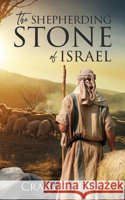 The Shepherding Stone of Israel Craig S Perry 9781545673904 Xulon Press