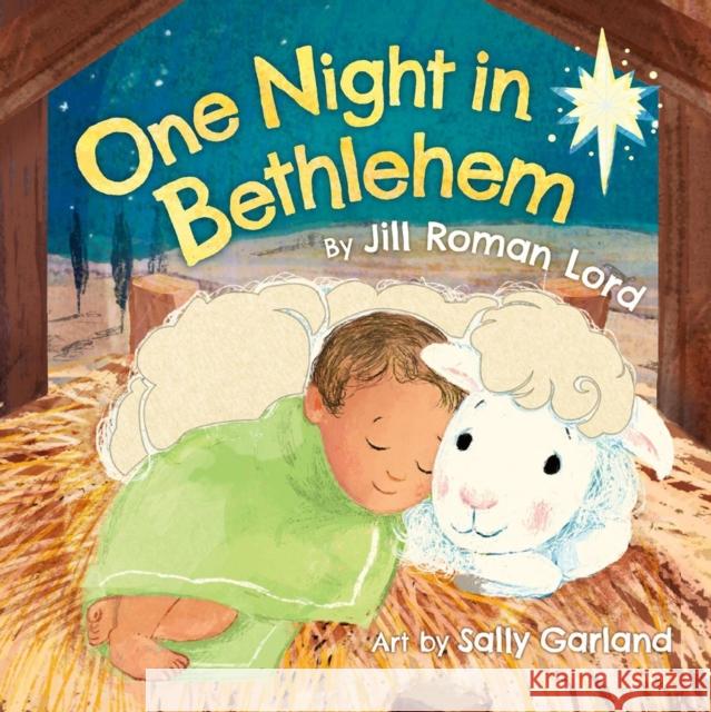 One Night In Bethlehem Jill R Lord 9781546008675 Worthy Kids