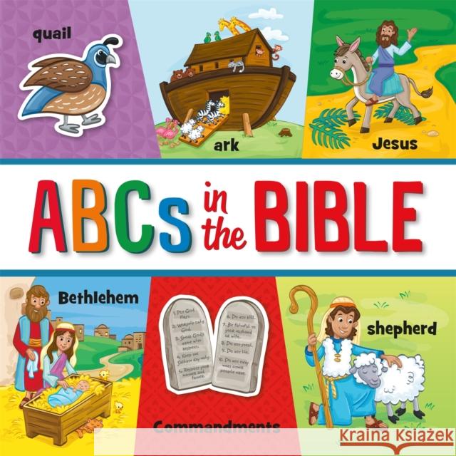 ABCs in the Bible Rebekah Moredock Lisa Reed 9781546014287 Worthy Kids