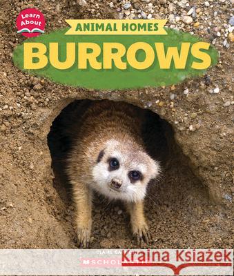 Burrows (Learn About: Animal Homes) Claire Caprioli 9781546177012 C. Press/F. Watts Trade
