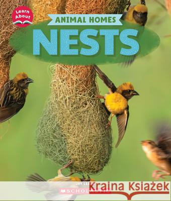 Nests (Learn About: Animal Homes) Jay Leslie 9781546177371 C. Press/F. Watts Trade