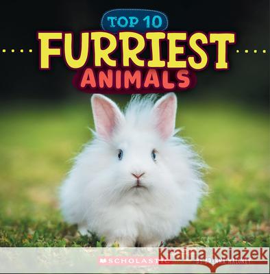 Furriest Animals (Wild World: Top 10) Brenna Maloney 9781546177494