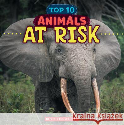 Animals at Risk (Wild World: Top 10) Brenna Maloney 9781546177517 C. Press/F. Watts Trade