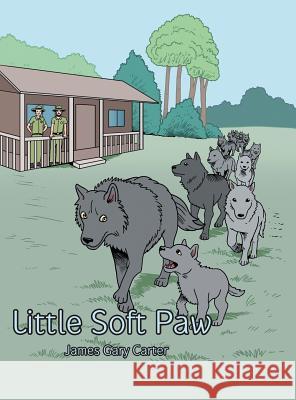 Little Soft Paw James Gary Carter 9781546200406