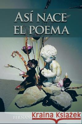 Así nace el poema Fernando De La Fuente 9781546283607