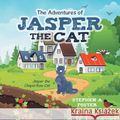 The Adventures of Jasper the Cat: Jasper the Chapel Row Cat Stephen A Foster 9781546299257