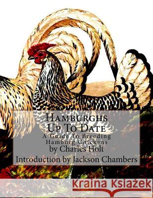 Hamburghs Up To Date: A Guide To Breeding Hamburg Chickens Chambers, Jackson 9781546302162 Createspace Independent Publishing Platform