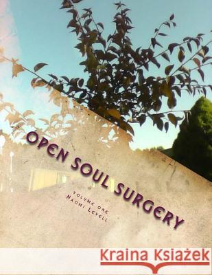 Volume One, Open Soul Surgery, deluxe large print color edition: The Seer Family 9781546357100