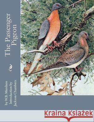 The Passenger Pigeon W. B. Mershon Jackson Chambers 9781546428688 Createspace Independent Publishing Platform