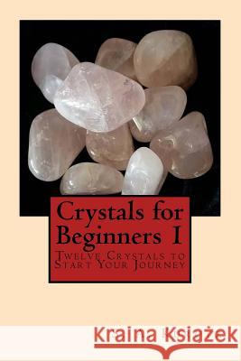 Crystals for Beginners 1 S. A. Kurutz 9781546494218 Createspace Independent Publishing Platform