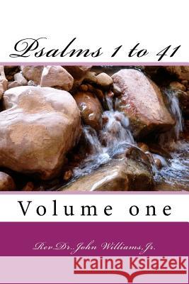 Psalms: book 1 to 41 John William 9781546500964