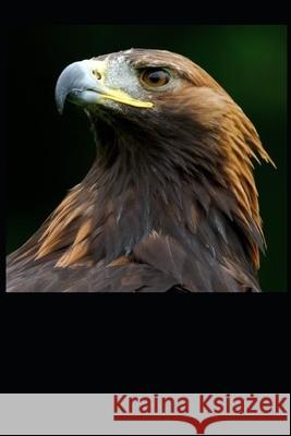 Red Eagle Buddy Hannah 9781546515098