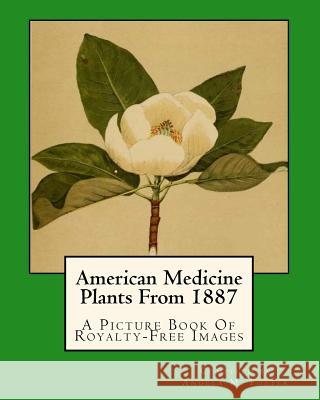 American Medicine Plants From 1887: A Picture Book Of Royalty-Free Images Foster, Angela M. 9781546523635 Createspace Independent Publishing Platform