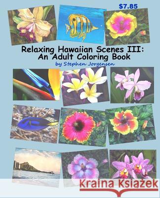 Relaxing Hawaiian Scenes III: An Adult Coloring Book Stephen Jorgensen 9781546550686