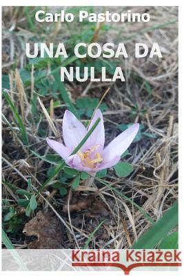 Una cosa da nulla: (Quasi un romanzo) Cesari, Sergio 9781546551690 Createspace Independent Publishing Platform