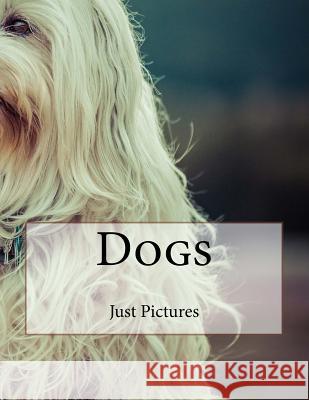 Dogs Just Pictures 9781546580485 Createspace Independent Publishing Platform