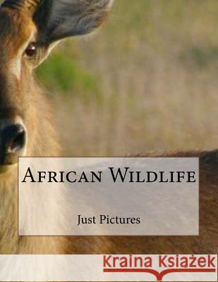 African Wildlife Just Pictures 9781546580669 Createspace Independent Publishing Platform