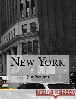 New York Just Pictures 9781546580928 Createspace Independent Publishing Platform