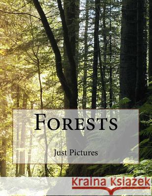 Forests Just Pictures 9781546613657 Createspace Independent Publishing Platform