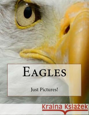 Eagles Just Pictures! 9781546615491 Createspace Independent Publishing Platform