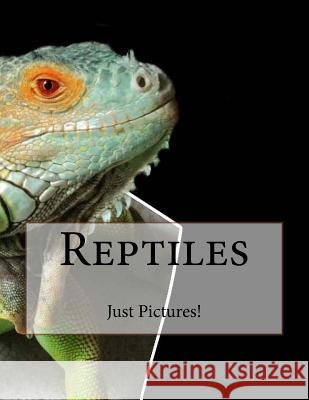 Reptiles Just Pictures! 9781546636403 Createspace Independent Publishing Platform