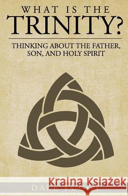 What is the Trinity?: Thinking about the Father, Son, and Holy Spirit Tuggy, Dale 9781546772606 Createspace Independent Publishing Platform